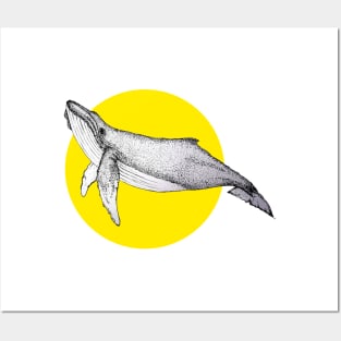 yellow whale Posters and Art